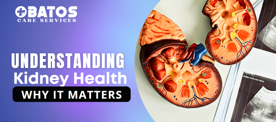 Understanding Kidney Health: Why World Kidney Day Matters