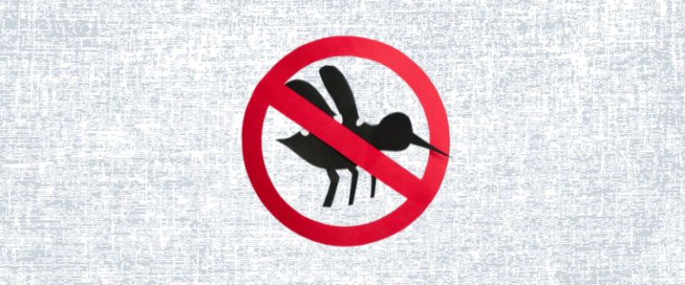 World Malaria Day 2023: Africa's Malaria Battle in Focus